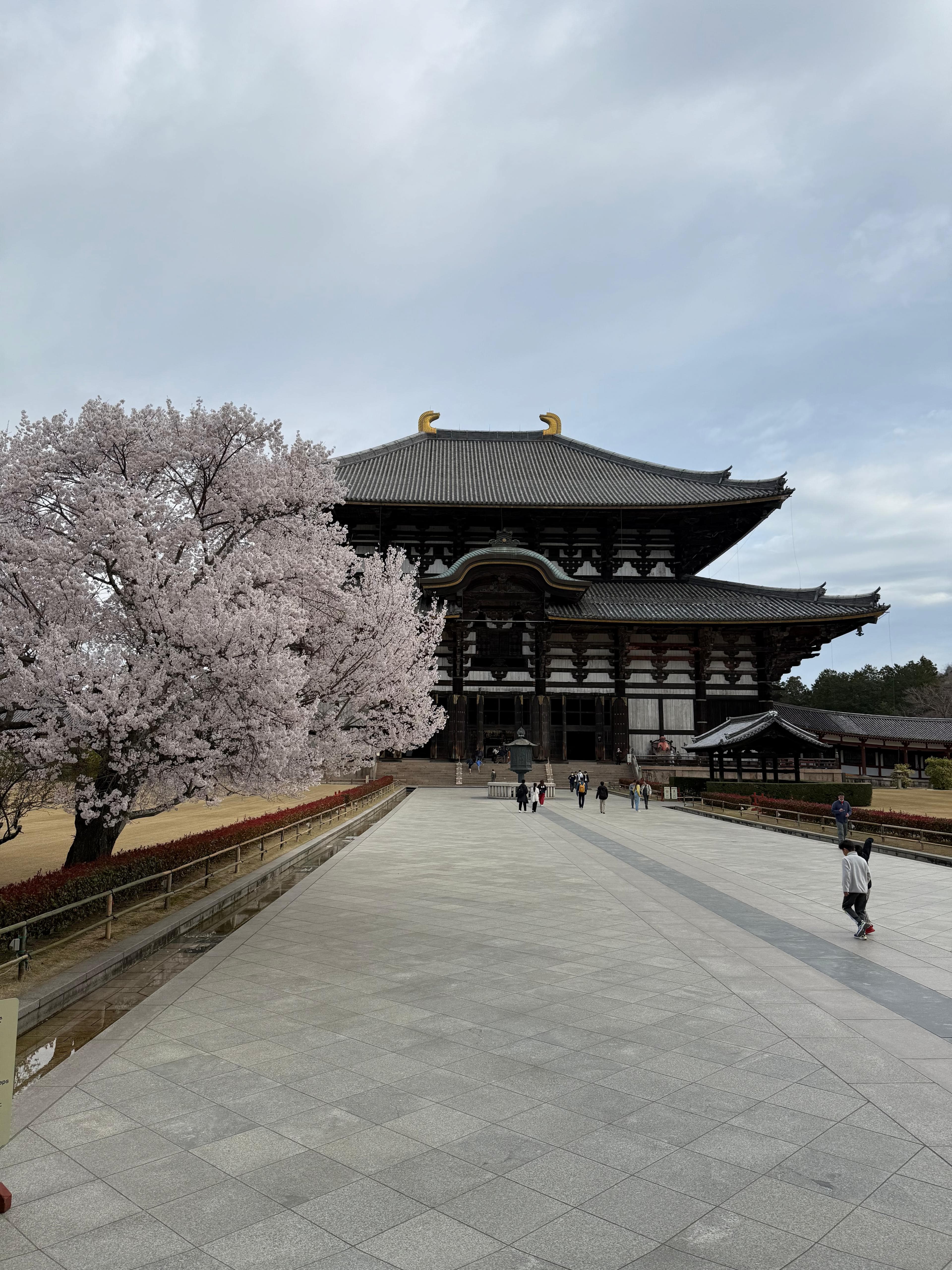 Nara